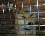 200904250640000.jpg