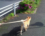 200904260750000.jpg
