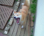 200905010642000.jpg
