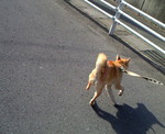 200905021540000.jpg