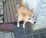 200809161551000.jpg
