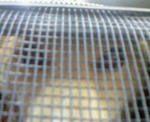 200901091536001.jpg