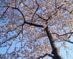 200904090652000.jpg