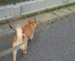 200905271626000.jpg