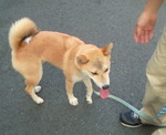 200908221715000.jpg