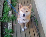 200911041621000.jpg