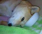 200911301353000.jpg