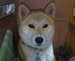 200912140913000.jpg