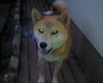 200912220630000.jpg