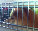 200912231117000.jpg