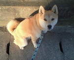 201002080728000.jpg