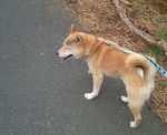 201002250739000.jpg