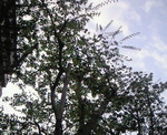 201004140644000.jpg