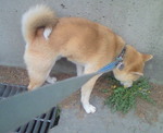201004200624000.jpg