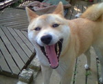 201005180633000.jpg