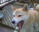 201006030643000.jpg