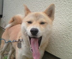 201006240624000.jpg