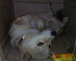 201006292341000.jpg