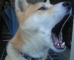 201009260633000.jpg