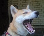 201010020607000.jpg