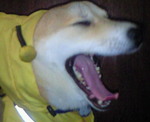 201010100704000.jpg