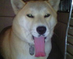 201012140653001.jpg