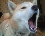 201012280700000.jpg