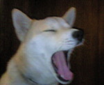201101200727000.jpg
