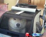 201102101450000.jpg