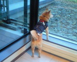 201102101717000.jpg