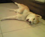 201102101858001.jpg