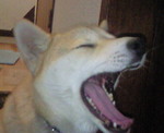 201102140708000.jpg