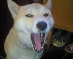 201103050744001.jpg